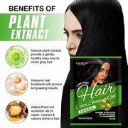Lichen Hair Color Gel Natural Black (Argan Oil) 250ML* 2 = 500ml
