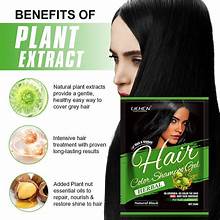 Lichen Hair Color Gel Natural Black (Argan Oil) 250ML* 2 = 500ml
